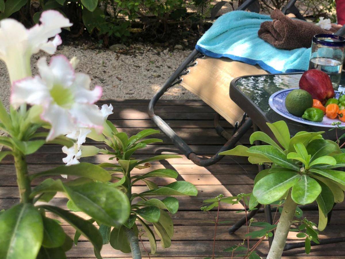 Casa "La 44" Bed & Breakfast Merida Ngoại thất bức ảnh