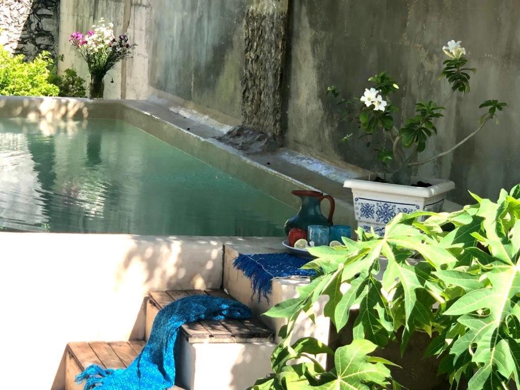 Casa "La 44" Bed & Breakfast Merida Ngoại thất bức ảnh